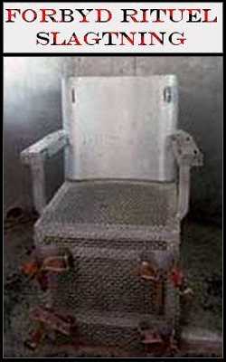 Elektrisk stol